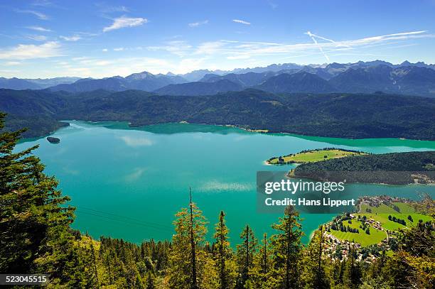 view from mt. herzogstand on lake walchensee, bad toelz-wolfratshausen district, upper bavaria, bavaria, germany, europe - mt herzogstand bildbanksfoton och bilder