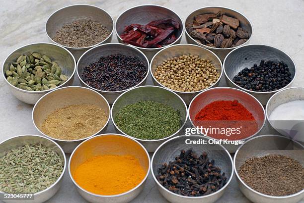 various indian spices, deogarh, rajasthan, india, asia - deogarh stockfoto's en -beelden