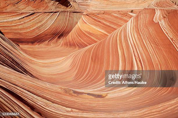 sandstone formations, coyote buttes north, vermilion cliffs wilderness, page, arizona, usa, america - the wave coyote buttes stock-fotos und bilder