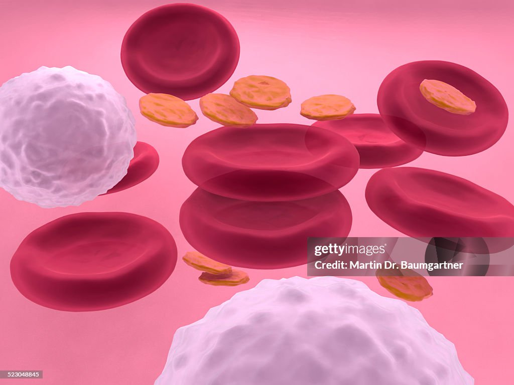 3d-visualisation of blood cells with erythrocytes, leukocytes and platelets