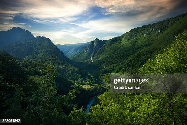 aerial view of tara river gorge. - ravijn stockfoto's en -beelden