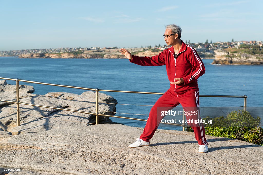 Mature Chinese Man Practising Tai Chi Chuan in Park