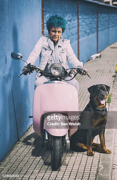 tough woman on her motor bike with her dog. - moto humour photos et images de collection