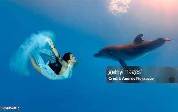 woman swimming, diving with bottlenose dolphin -tursiops truncatus- - preteen girl models stock pictures, royalty-free photos & images