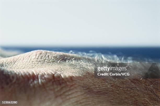 hairy knuckles - hairy human skin stock pictures, royalty-free photos & images