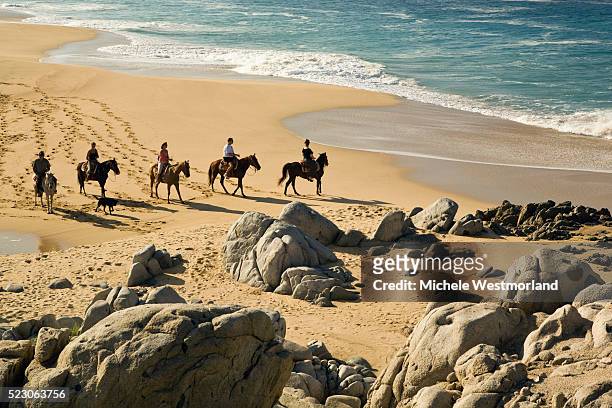 tourists horse riding on cape san lucas - baixa califórnia do sul imagens e fotografias de stock