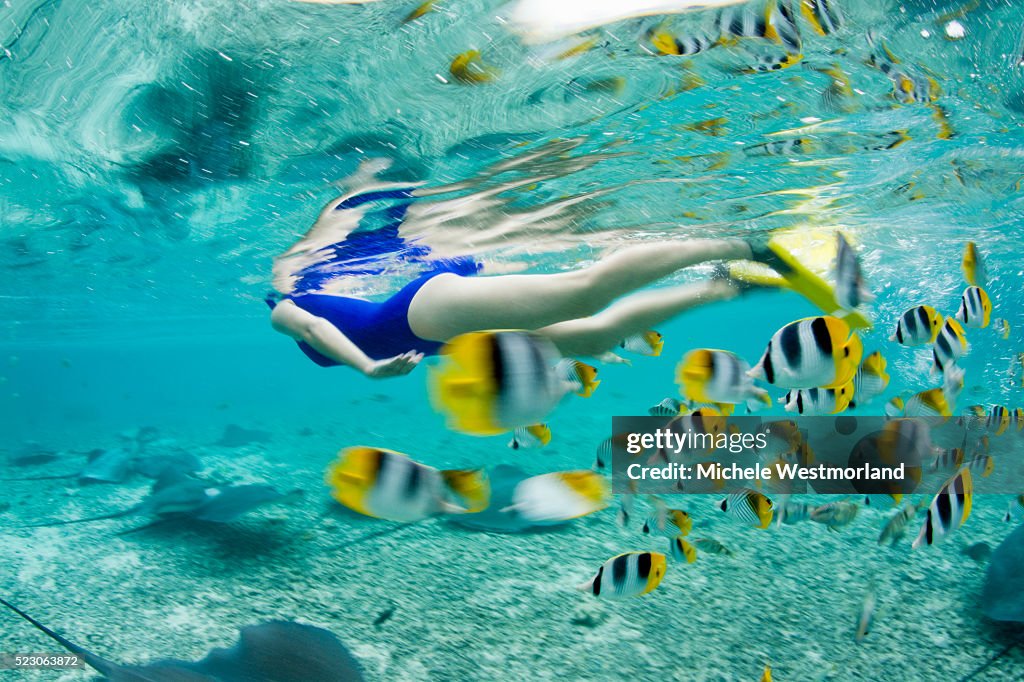 Woman Snorkeling Among Tropical Fish in Bora-Bora Lagoon