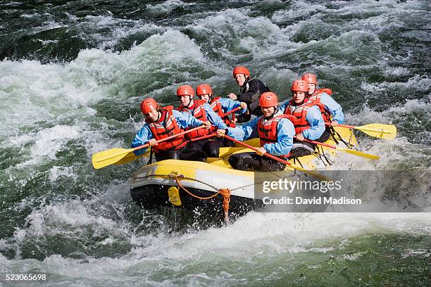 group of men whitewater rafting - whitewater rafting 個照片及圖片檔