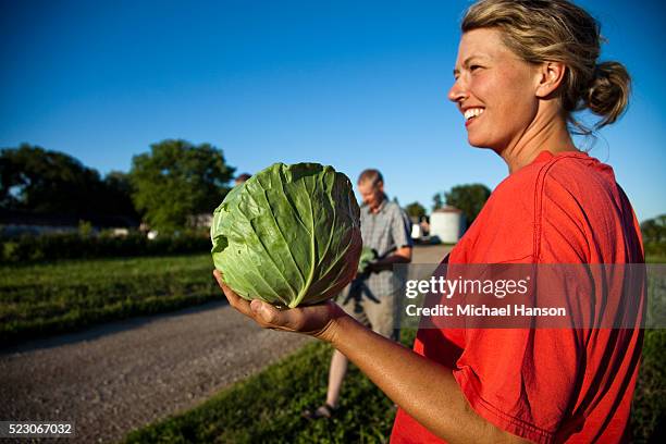 woman holding cabbage on farm - organic cabbage stock pictures, royalty-free photos & images