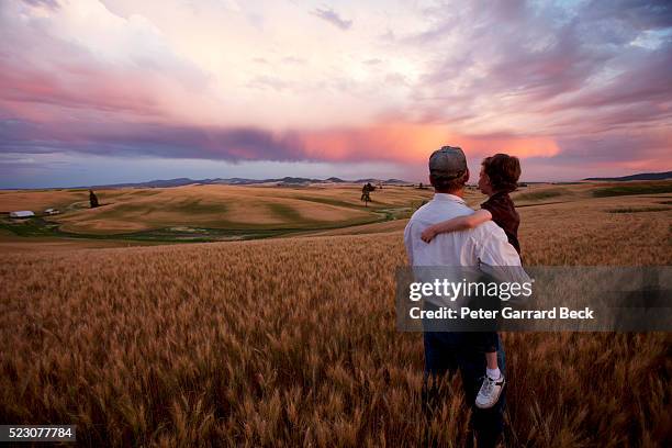 grandfather and grandson (4-5) in wheat field at sunset - farm family stockfoto's en -beelden