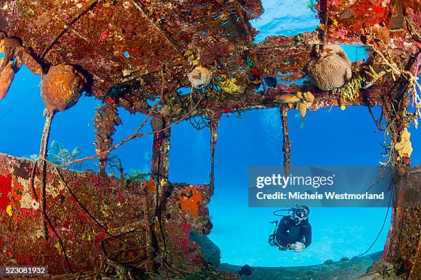 scuba diving at doc poulson wreck, caribbean - grand cayman stock pictures, royalty-free photos & images