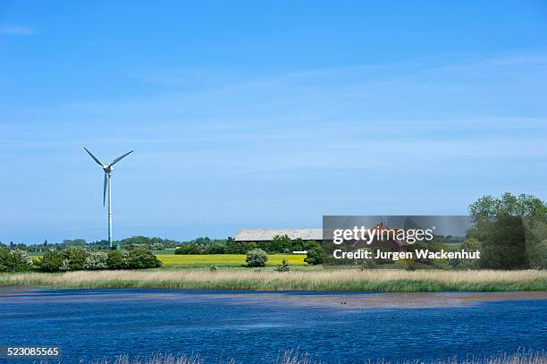 lake at the flood dyke, westermarkelsdorf, island of fehmarn, baltic sea, schleswig-holstein, germany, europe - fehmarn stock pictures, royalty-free photos & images