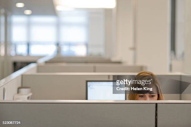 businesswoman working in a cubicle - office cubicles stock pictures, royalty-free photos & images