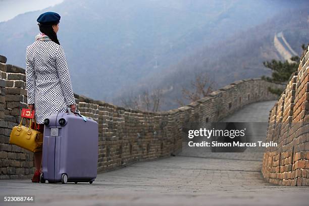 stylish woman with suitcase - vintage luggage stock pictures, royalty-free photos & images