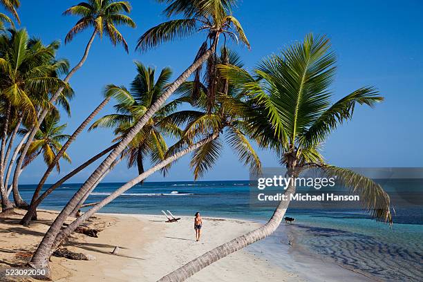 young woman walking on beach wearing jean shorts and bikini top, dominican republic, samana peninsula - dominican republic stock pictures, royalty-free photos & images