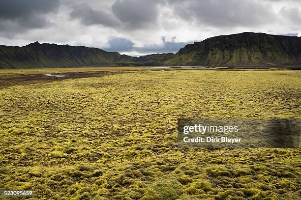 moss-covered mountains, landscape near maelifell, highland, iceland, europe - maelifell stock pictures, royalty-free photos & images