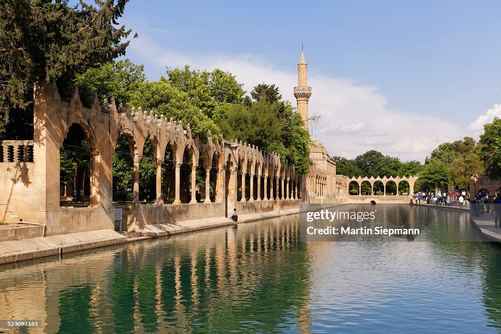 Pond of Abraham with Rizvaniye Mosque, Balikligol pond and Rizvaniye Camii, Sanliurfa, Urfa, Sanliurfa, Southeastern Anatolia Region, Anatolia, Turkey