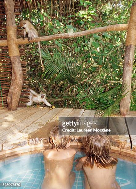 children in hot tub watching monkeys - girls in hot tub fotografías e imágenes de stock