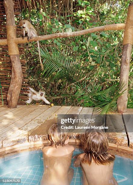 children in hot tub watching monkeys - girls in hot tub stockfoto's en -beelden