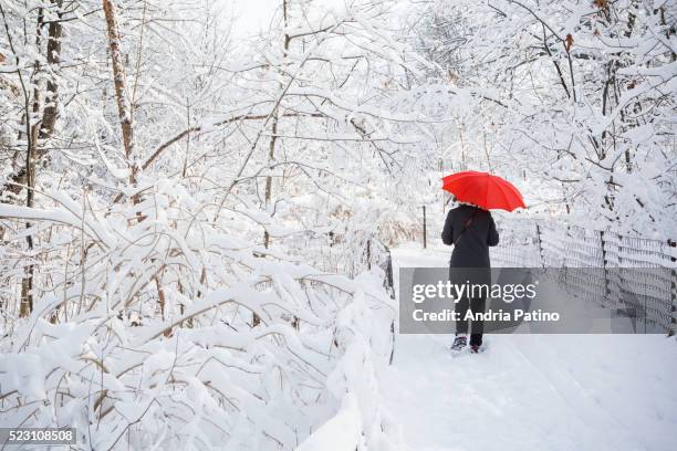 rear view of woman with red umbrella walking in winter, central park, manhattan, new york city, new york state, usa - オーバーコート ストックフォトと画像