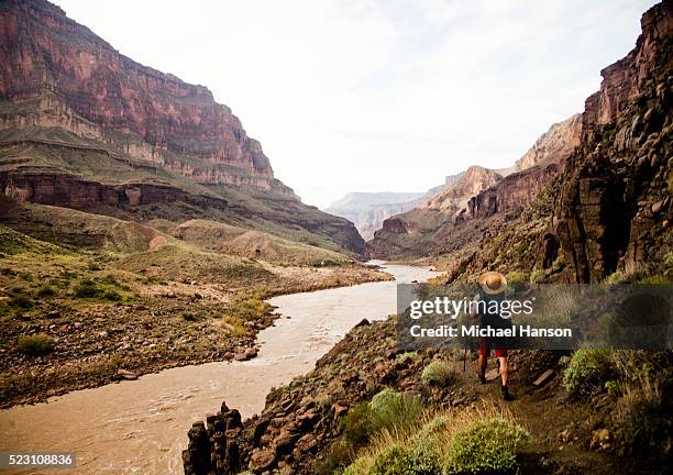hiker in grand canyon national park - parque nacional del gran cañón fotografías e imágenes de stock
