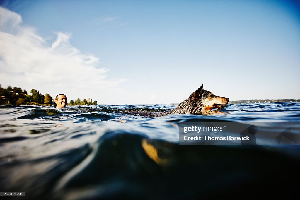 Smiling man swimming with dog on summer afternoon