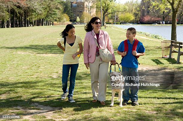 blind woman with her guide dog and helpful children - new rochelle new york state stock-fotos und bilder