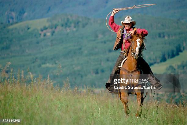 cowboy throwing lasso from horse - holding horse stockfoto's en -beelden