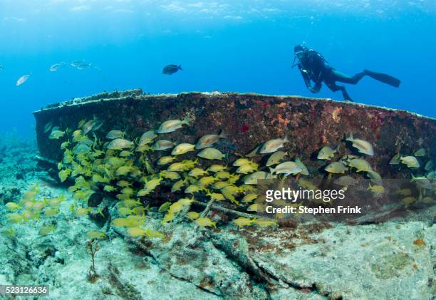 scuba diver explores shipwreck. - ilhas ábaco imagens e fotografias de stock