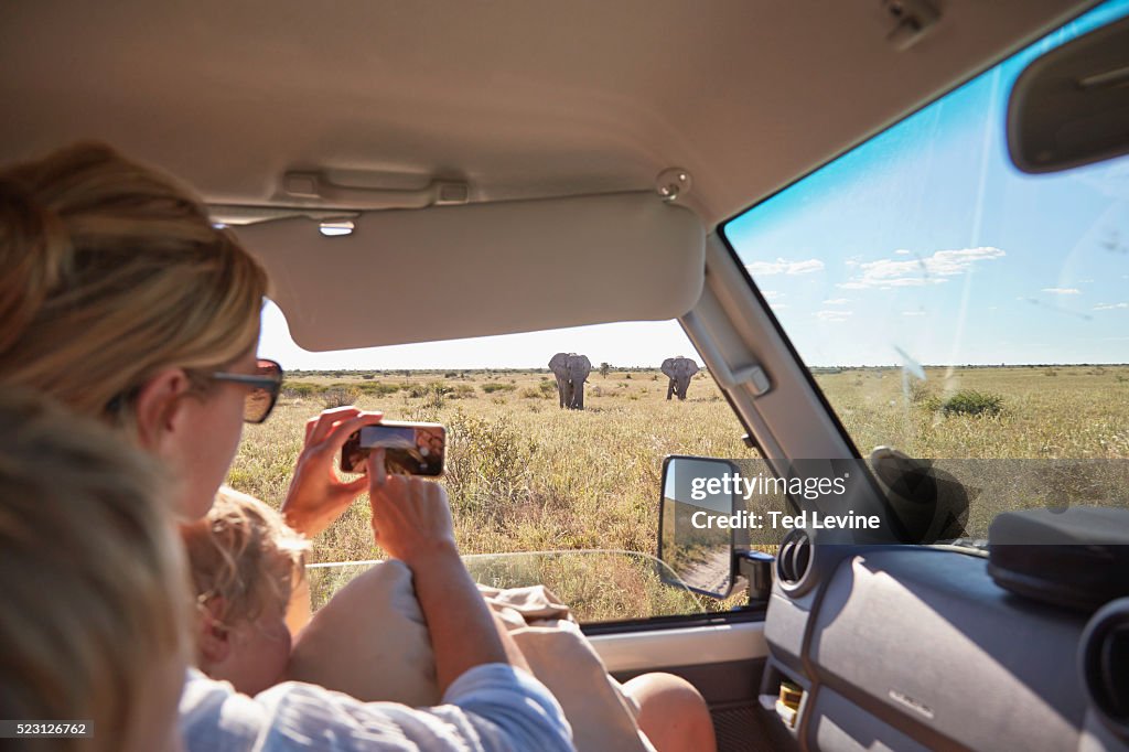 Family in a Toyota Landcruiser watching wildlife in the Nxai Pan National Park