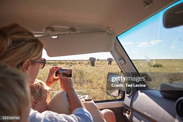 family in a toyota landcruiser watching wildlife in the nxai pan national park - botswana safari stock pictures, royalty-free photos & images