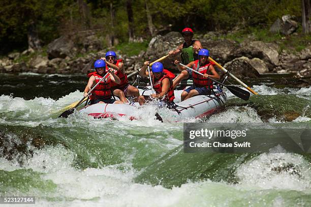 whitewater rafting - lochsa river stock pictures, royalty-free photos & images