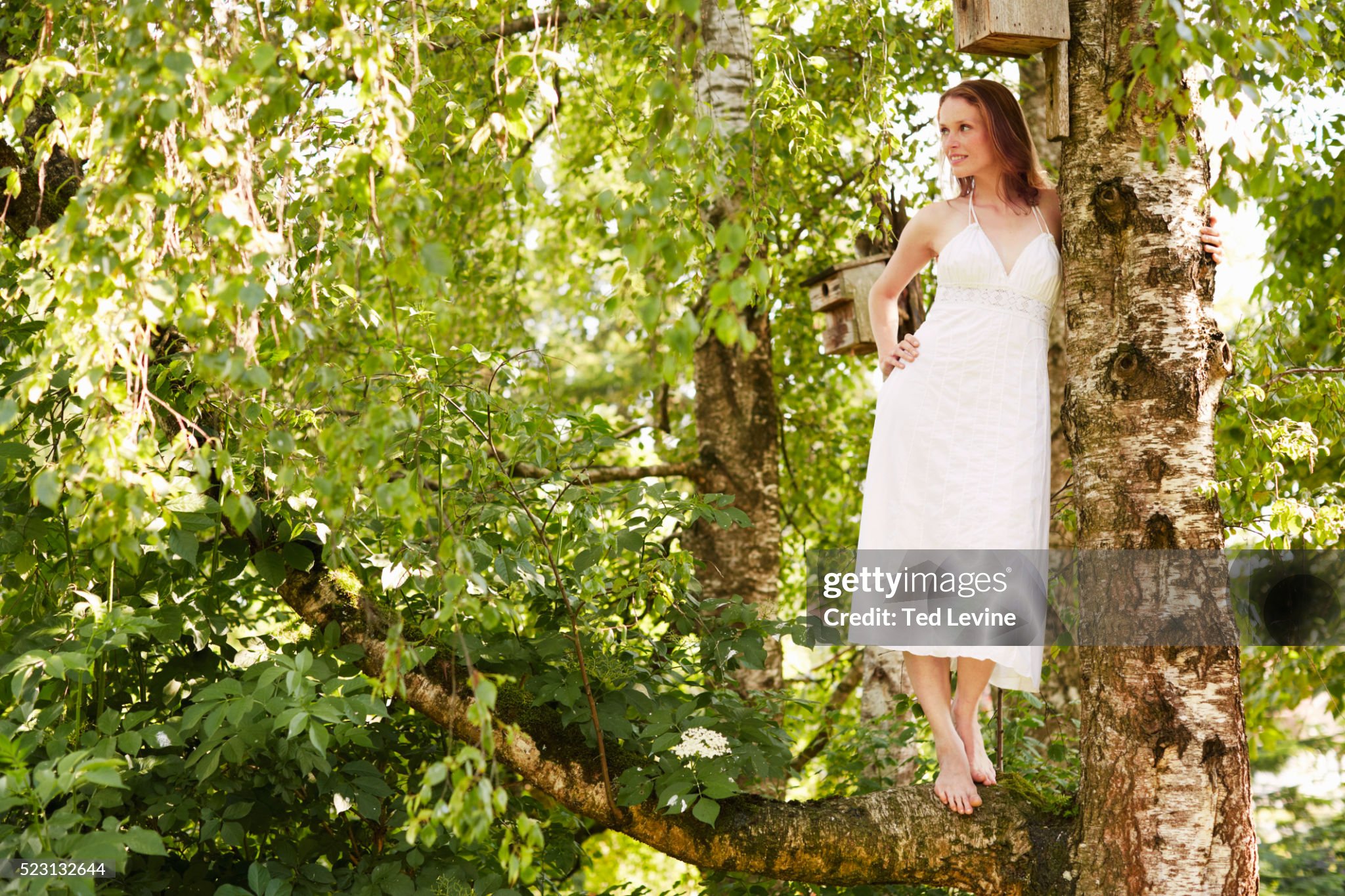 https://media.gettyimages.com/id/523132644/photo/young-woman-in-white-dress-standing-on-tree-bavaria-germany.jpg?s=2048x2048&w=gi&k=20&c=Ww94gRwjs2v07_HuEZlxT7FJJnqL42yGcYBOH0dAE8s=
