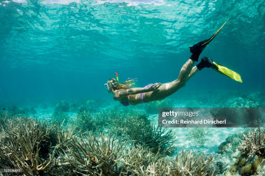 Skin Diving at Palau, Micronesia, Palau
