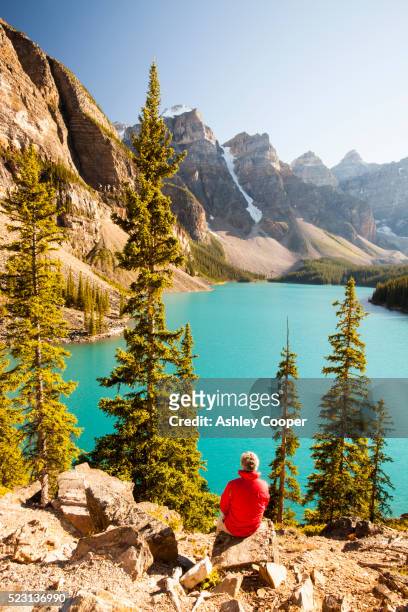 canadian rockies - moraine lake stock-fotos und bilder