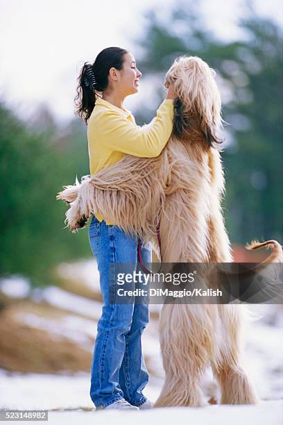 afghan hound hugging owner - afghan ethnicity imagens e fotografias de stock