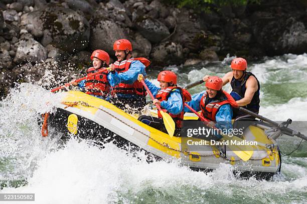 family whitewater rafting - rafting sulle rapide foto e immagini stock