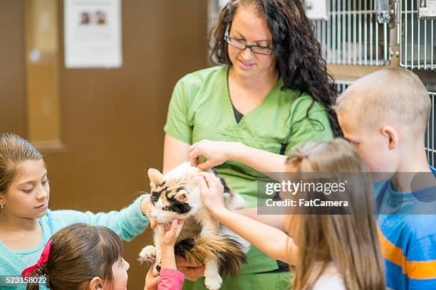 volunteering at an animal shelter - humane society stock pictures, royalty-free photos & images