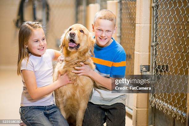 children adopting a dog - adoption stockfoto's en -beelden