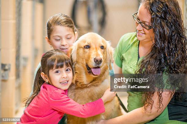 two sisters adopting a dog - humane society stock pictures, royalty-free photos & images