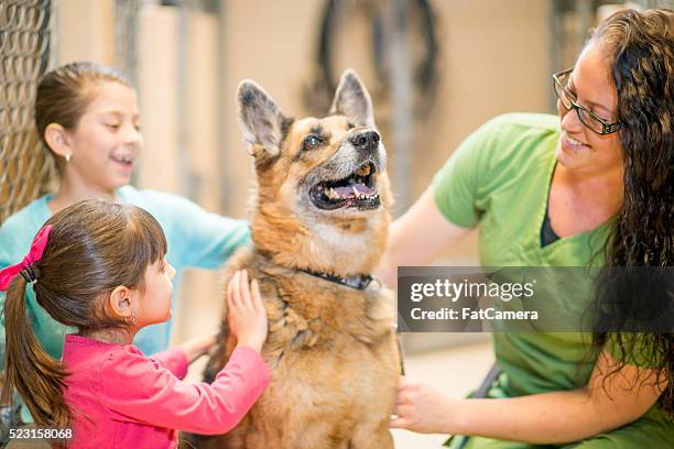 picking up a pet at the animal shelter - humane society stock pictures, royalty-free photos & images