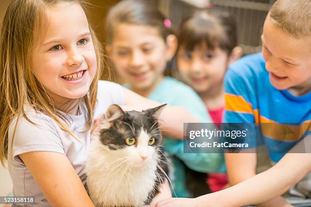 students volunteering at the animal shelter - humane society stock pictures, royalty-free photos & images