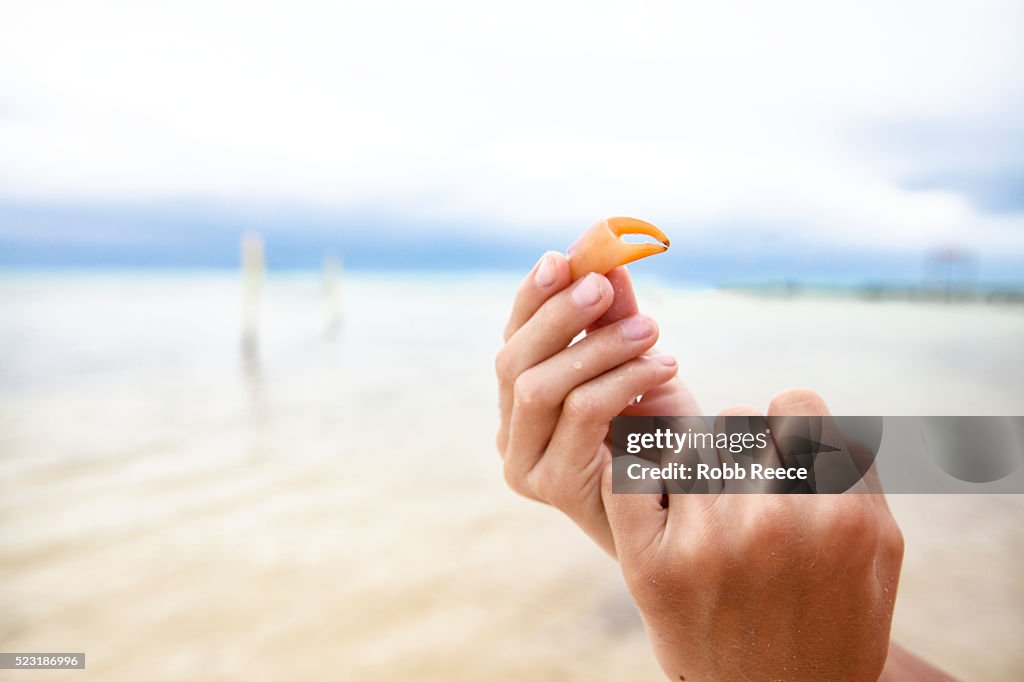 Close-up of a boy holding a crab claw on the beach in Belize