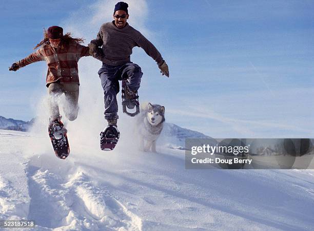 couple leaping in snowshoes - chien de traineau photos et images de collection