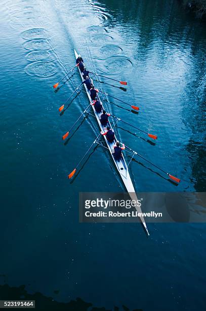 rowing team on a river - crew rowing stock pictures, royalty-free photos & images