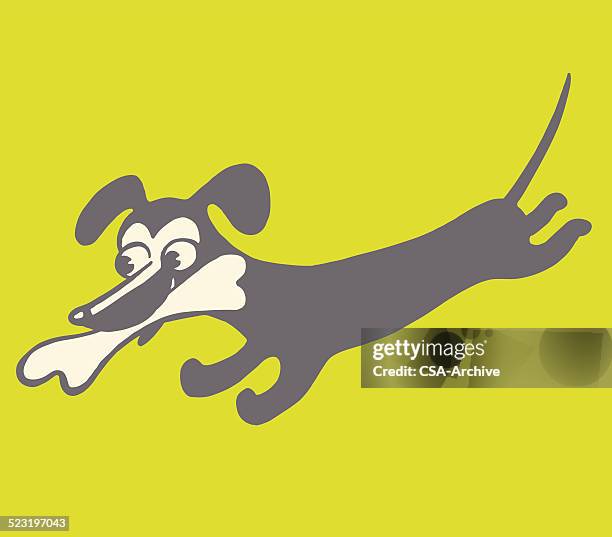 hund laufen mit knochen - hundeknochen stock-grafiken, -clipart, -cartoons und -symbole