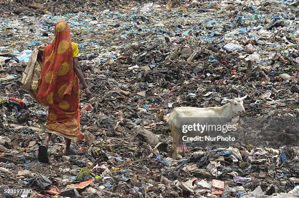 An Indian rag picker walk pass by heaps of garbage as a Goat search food at a dumping site on World Earth Day in Dimapur, India north eastern state...