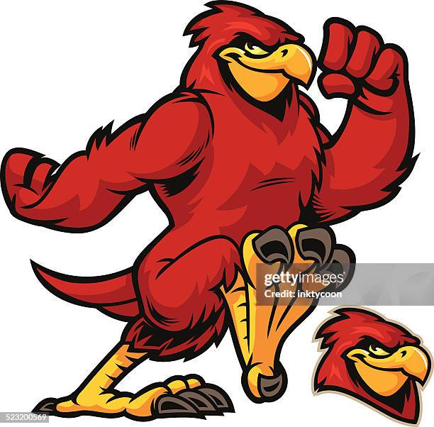 698 Ilustraciones de Pájaro Cardenal - Getty Images 698 Ilustraciones de Pájaro Cardenal - Getty Images