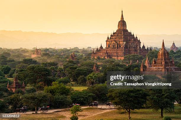 gawdawpalin pagoda golden sun light horse carts wagon - burmese horse carts stock pictures, royalty-free photos & images