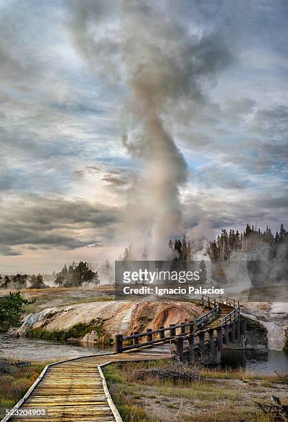 grand geyser eruption, old faithful yellowstone - yellowstone national park stock pictures, royalty-free photos & images